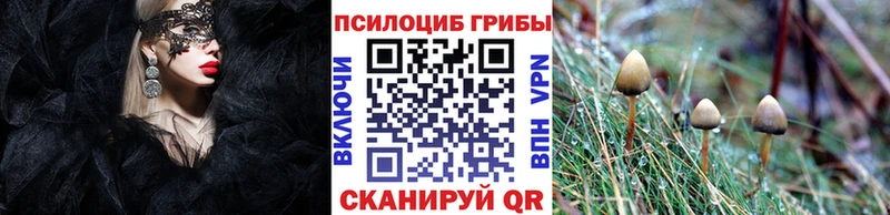 Купить  Заречный  Псилоцибиновые грибы MAGIC MUSHROOMS 